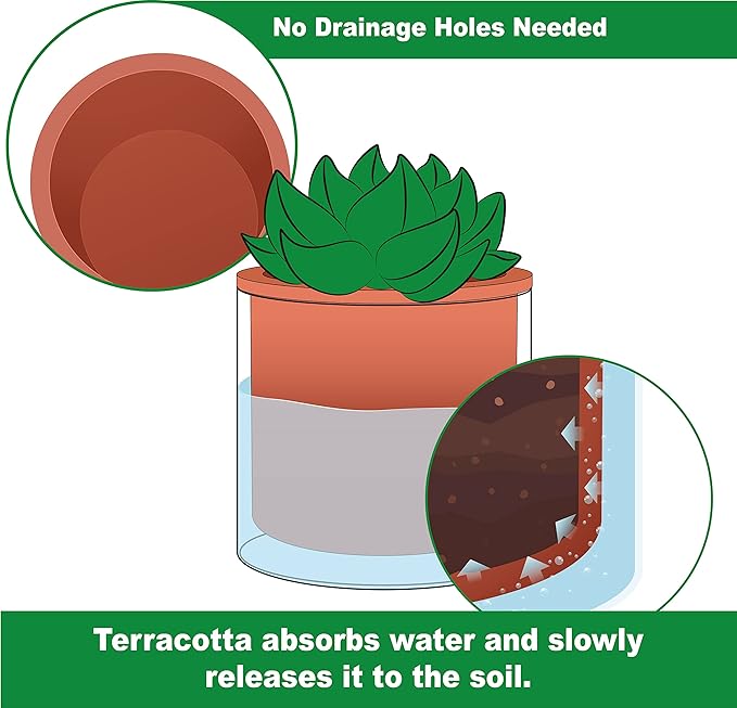 Phoenix Vine 4 Inch 6 Inch Self Watering Plants Pots, Design Terracotta Pots for Plants, Indoor Cylinder Terra Cotta Planter with Glass Vase Set, 51-A-G-46
