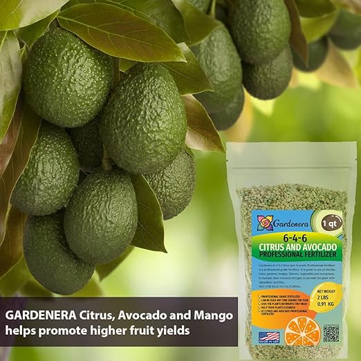 𝐁𝐄𝐒𝐓𝐒𝐄𝐋𝐋𝐄𝐑 6-4-6 Avocado Citrus Tree Plant Food for Outdoor/Indoor Gardening | Quick-Release Nitrogen Fertilizer | Orange, Lime, Avocado and Lemon Tree Fertilizer [16 OZ]