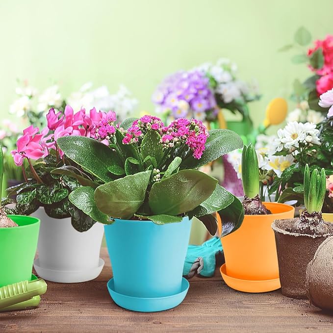 4 Inch Plant Pots 10 Pcs Small Flower Pots For Indoor Plant Pots Succulent Pots Small Plant Pots With Drainage Planters For Indoor Plants Nursery Pots Plastic Pots For Plants Herb Planter 5 Colors