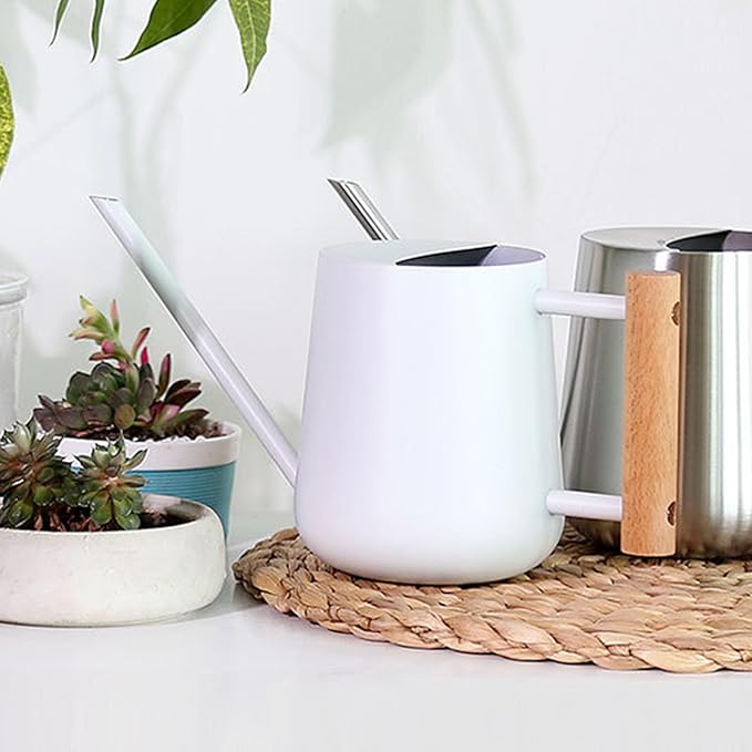 Wood Handle Long Spout Watering Can Stainless Steel Plant Watering Pot Garden Green Plant Flower Watering Kettle for Indoor Outdoor Plants Garden Flower (White)