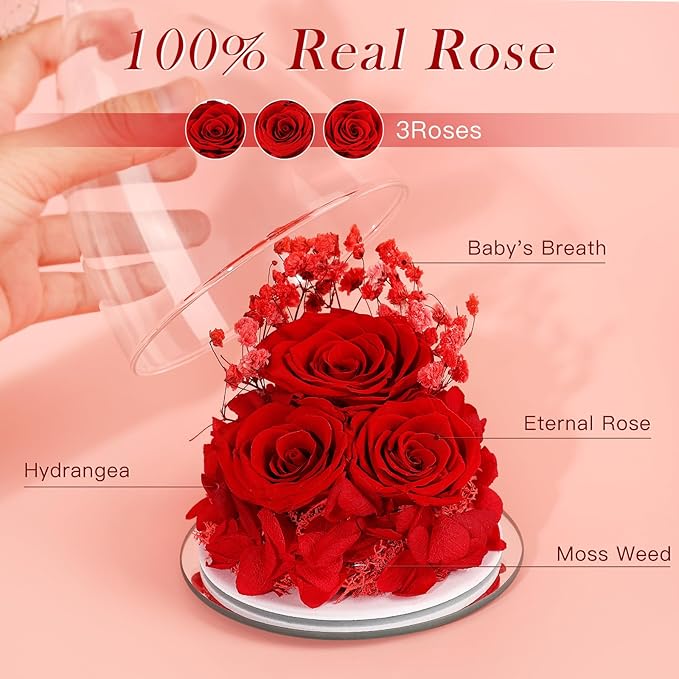 Preserved Flower Rose Gifts for Women, Forever Eternal Fresh Flowers in Glass Angel Figurines Flowers for Delivery Prime Red Roses for Grandma Mom Sister Her Wife on Mothers Day Birthday Christmas