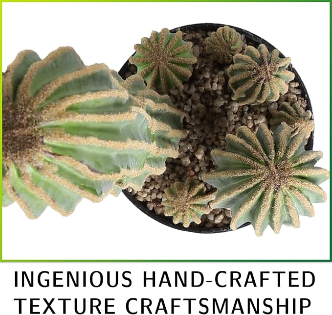Artificial Cactus Fake Big Cactus 24 Inch Faux Cacti Plants for Home Garden Office Store Decoration