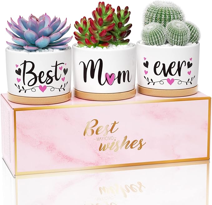 Christmas Mom Gifts, Best Gifts for Mom from Daughter Son Kids Unique, Best Mom Ever Succulent Pots for Plants Indoor Ceramic Planter, Gift Boxed Thanksgiving Birthday Gifts for Mom Mother-in-Law Wife