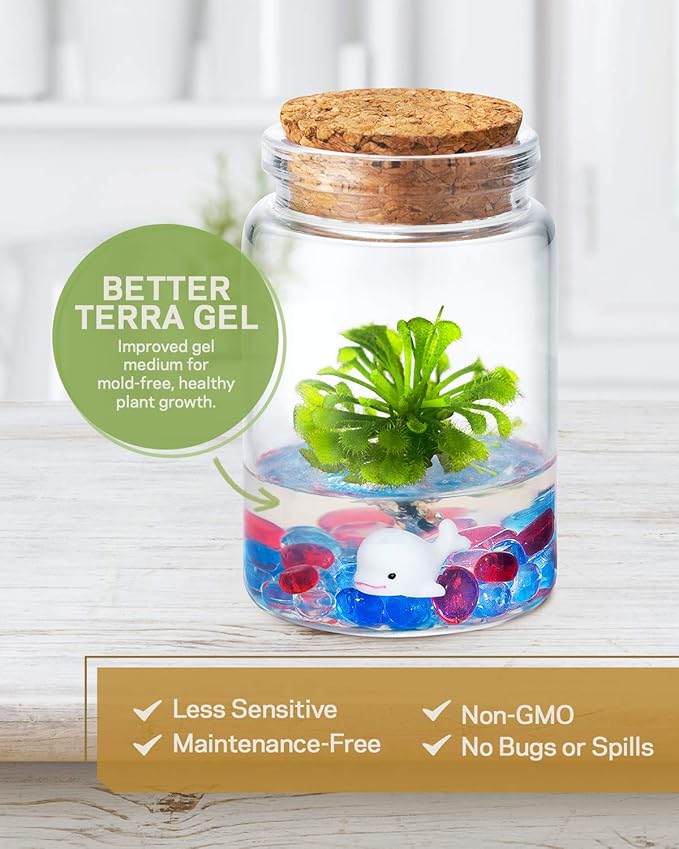 Bloomify Sundew Terrarium - 100% Self Sustaining Drosera spatulata in Maintenance Free Glass Jar with Unique Terra Gel, Fast and Healthy Plant Growth for Kids and Adults