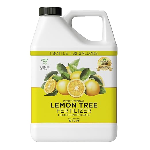 Leaves and Soul Professional Lemon Tree Fertilizer Liquid Concentrate - 6-4-6 Blend for Fruit Tree Fertilizer, Garden - Liquid Plant Food for Lemon Trees in Pots or Outdoors - 32oz