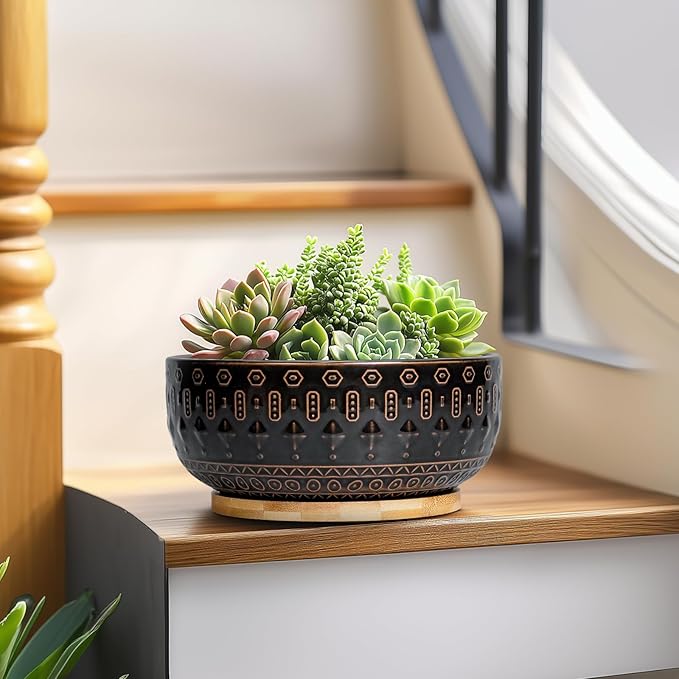 Bonsai Planter - 8 Inch Ceramic Pots for Plants Indoor, Shallow Round Succulent Bowl with Drainage Hole and Tray for Cactus, Boho Room Garden House Decor, Birthday Gifts, Black