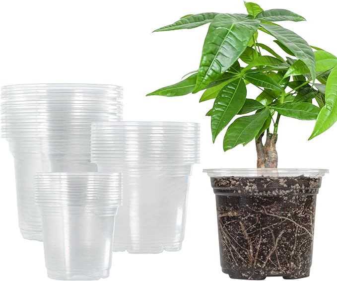 Bonviee 36 Packs 3.5/4/5 Inch Clear Nursery Pots, Transparent Plastic Planter with Drainage Holes, Seed Starting Pot Flower Plant Container -Clear