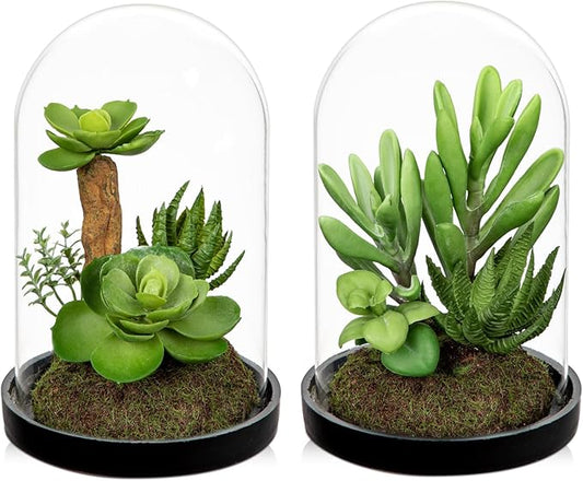 Set of 2 Artificial Succulents Plants in Glass Dome with Featuring Sand Moss, Small Fake Aloe Succulents Plants Faux Plants Indoor Decor for Home Office Table Desk Shelf Room Hostess Gift