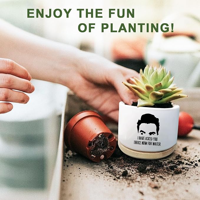 Funny Succulent Planter, Flower Cactus Plant Pot for Indoor Plants, Fun Planter Pots with Drainage and Tray, Office Home Windowsill Decor Planter Gift for Coworker Men (No Plants)