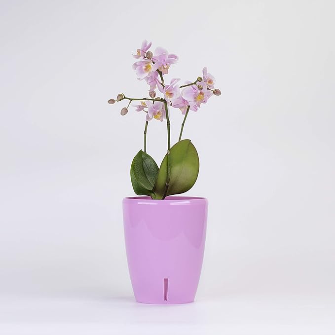 Santino 4.9 Inch ORCHIDEA Self Watering Pots for Orchids in Lavender - Decorative Wicking Planter with w/Great Aerification, Drainage and Water Level Indicator