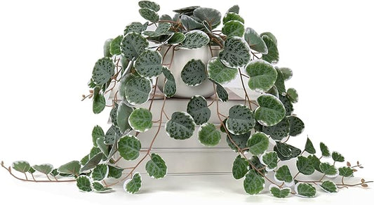Briful Fake Plants Indoor 16'' Artificial String of Hearts Plants with Ceramic Pot Faux Draping Vine Plants for Home Bathroom Table Shelf Office Hotel Decor