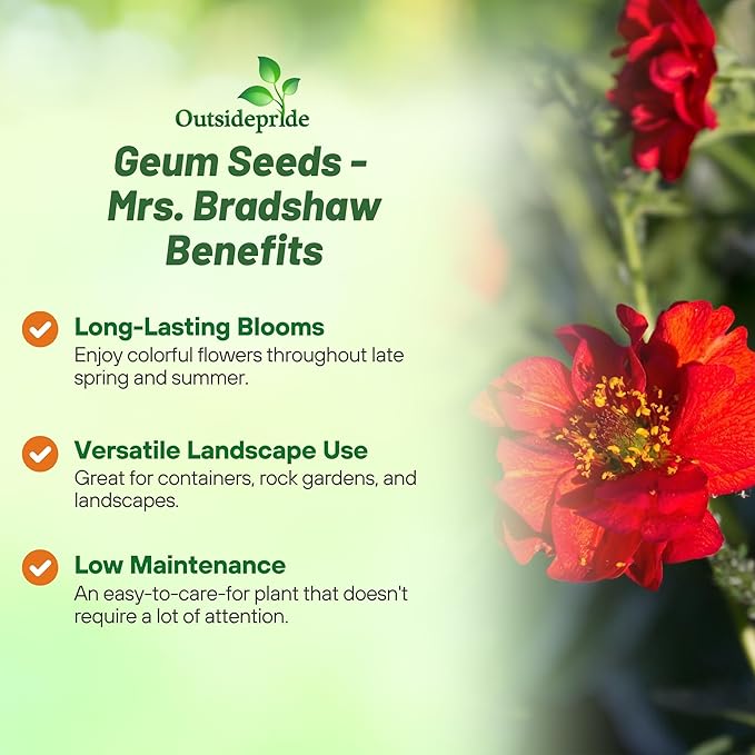 Outsidepride Mrs. Bradshaw Geum Seeds - 500 Pcs Easy to Grow Perennial Flower Seeds for Planting with Vibrant Blooms Attractive to Pollinators, for Cut Flower Arrangements, Borders, & Flower Beds