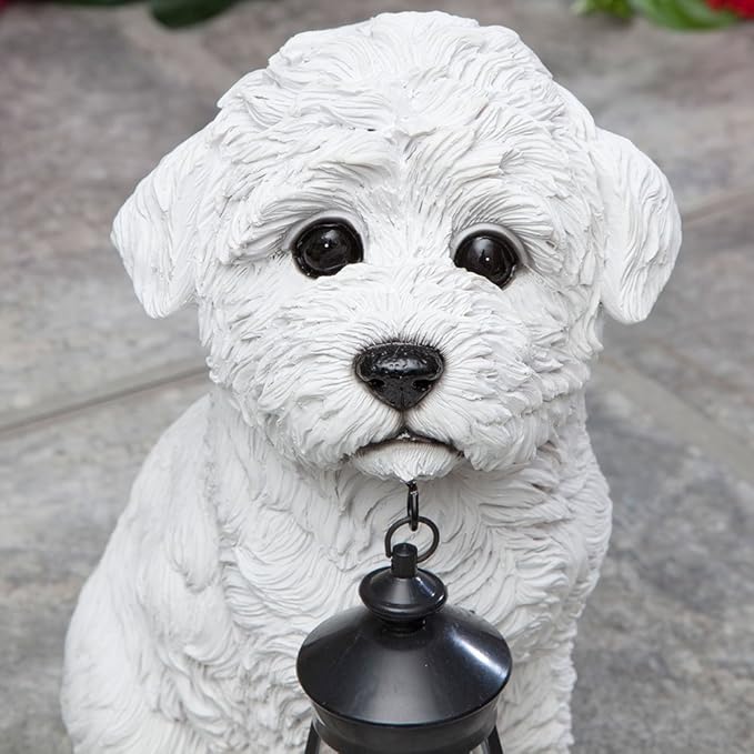 Bits and Pieces - Dog Solar Lantern Statue - Solar Powered Garden Lantern - Resin Dog Sculpture with LED Light - Outdoor Lighting and Décor (Bichon)