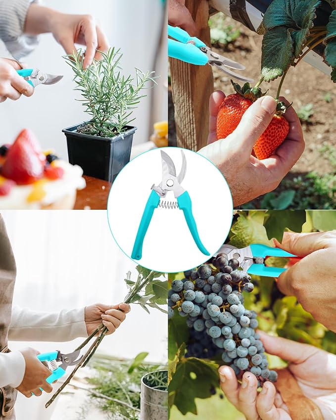 Pruning Shears for Gardening, 1 Pack Garden Scissors for Cutting Fresh Flowers, Floral Clippers for Plants, Fruits (Blue)