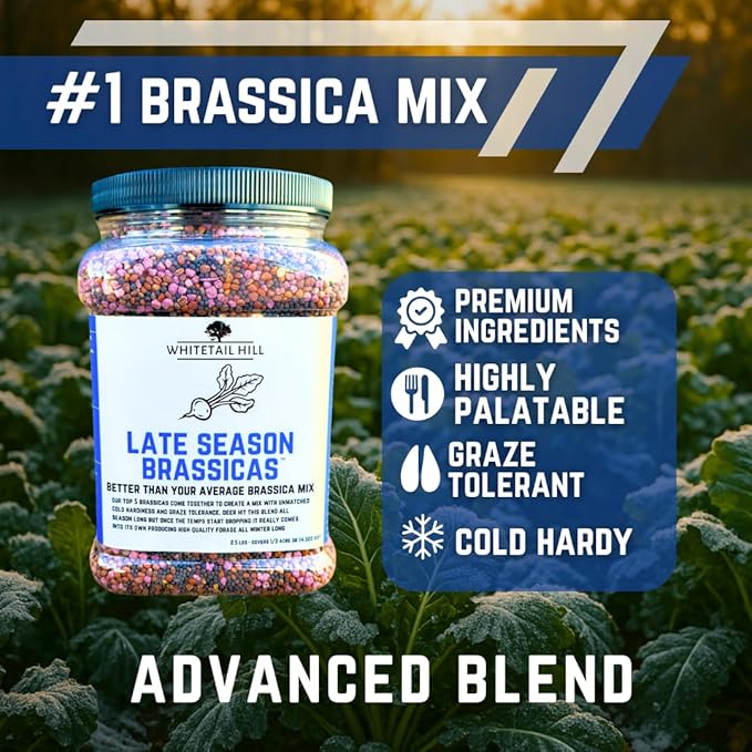 Late Season Brassicas Food Plot Seed Mix, 1/3 Acre or 2.5 Acres, 5 Brassicas, Cold Hardy, Graze Tolerant, Forage All Winter Long
