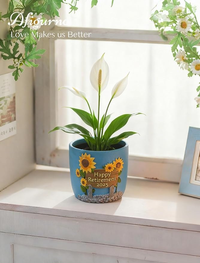 Plant Pot Retirement Gift for Woman - Happy Retirement 2025 - Hand-Painted Flower Pot for Unique Retired Gifts or Retirement Party Decorations - Succulent Planter with Drainage 5.3 inch