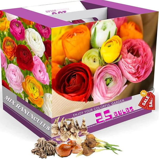 Ranunculus Bulbs for Planting, 25 Mix Ranunculus Bulbs for Fall Planting, French Peony Ranunculus Corms Bulk Ranunculus Flowers Buttercups, Butterfly Ranunculus Bulbs to Grow