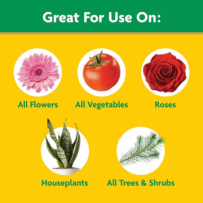 Miracle-Gro Water Soluble All Purpose Plant Food, Feed Flowers, Vegetables, Roses, Shrubs, and Houseplants, 5.5 lb.