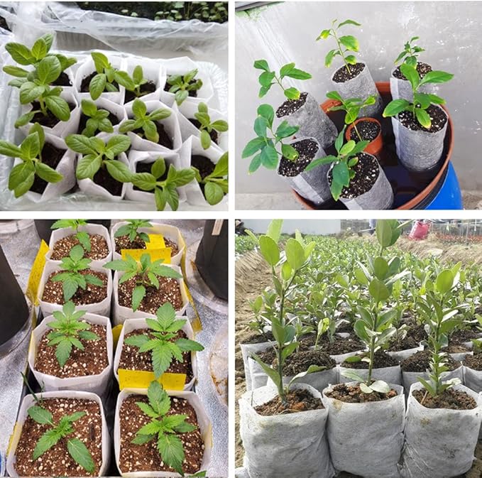 100Pcs Nursery Growing Bags,Non-Woven Fabric Seedlings Grow Bag for High Seedling Survival Rate,Plant Bags for Planting,Garden Seed Starters Pouch Small（4.2"x4.2"）