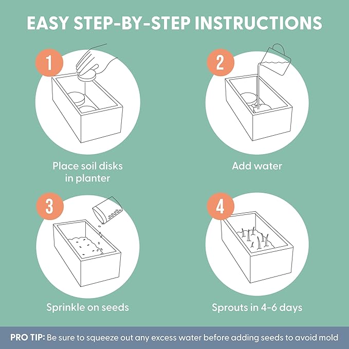 The Cat Ladies Cat Grass Kit with White Rustic Wooden Planter, Organic Cat Grass Seeds and Soil. Easy to Grow for Indoor Cats. Prevent Hairballs and Aid Digestion