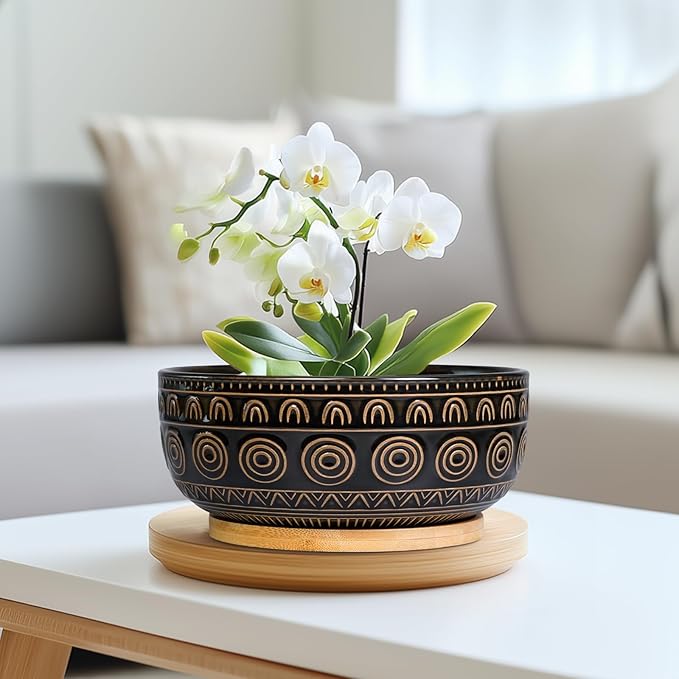 Ceramic Bonsai Pots - 8 Inch Plant Pot for Succulent, Round Planter for Indoor Plants, Shallow Planters with Drainage Hole and Tray, Boho Bonsai Bowl, Living Room Decor, Black