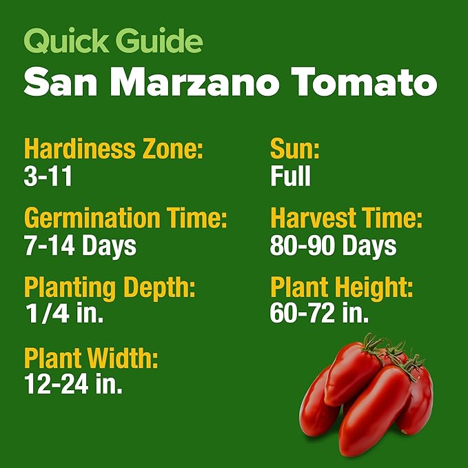 HOME GROWN San Marzano Tomato Seeds – 66 Heirloom Seeds Non GMO – High Germination Tomatoes for Indoor & Outdoor Growing – Classic Paste Variety for Gardeners & Home Use