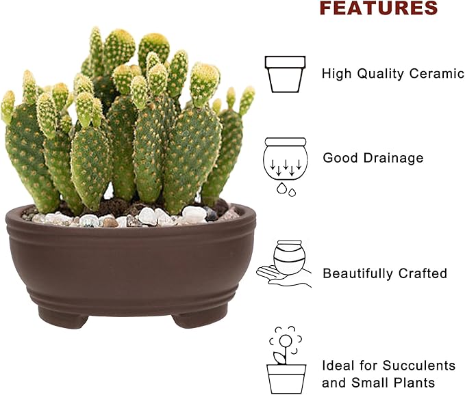 Bonsai Planter 2 pc 3.9" + 4.1" Unglazed Round Ceramic Succulent Pots Set