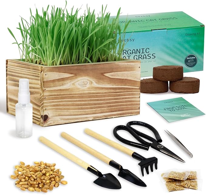 Cat Grass Kit for Indoor Cats Complete with Rustic Wood Planter, Organic Wheat Grass Seed and Soil, Grows in 7 Days, Prevent Hairballs and Aid Digestion Ideal Birthday Christmas Gift for Cat Lovers