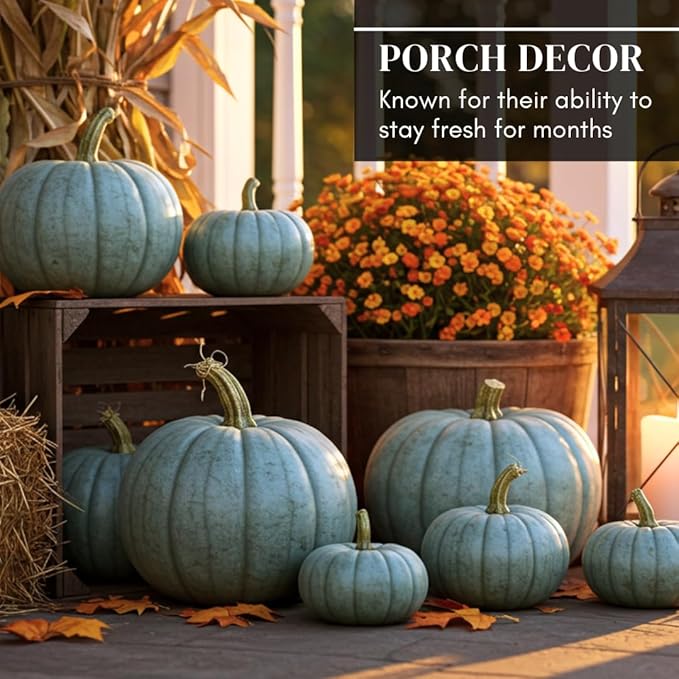 Exotic Blue Pumpkin Seeds | 10 Seeds Packet | Blue Jarrahdale Pumpkin | Beautiful Slate Color for Fall Décor & Baking | Easy Heirloom Seeds