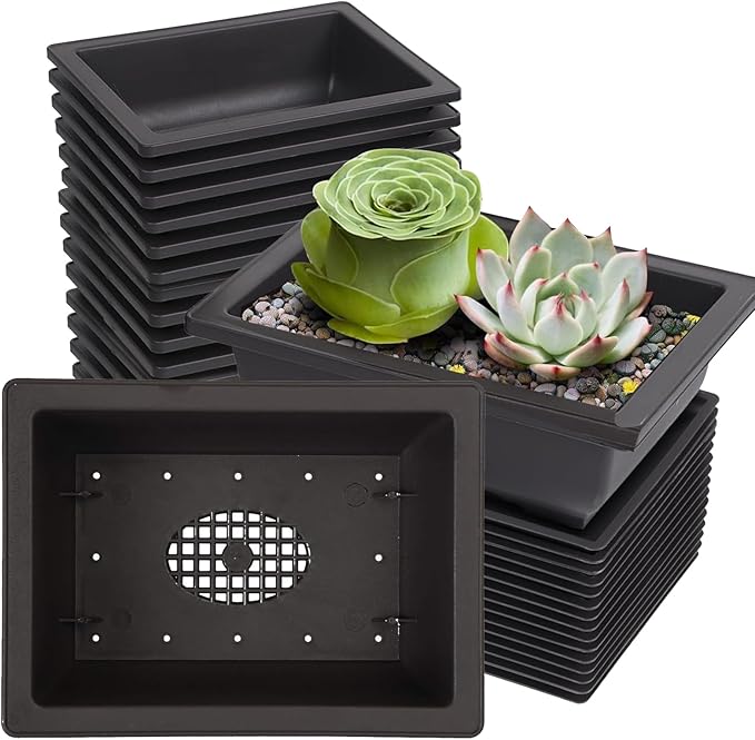 KINJOEK 20 PCS 6.5 Inch Plastic Bonsai Training Pots with Drainage Trays, Rectangular Plant Bonsai Pot, Flower Succulent Tree Growing Pots Container for Garden, Indoor, Home Decorative