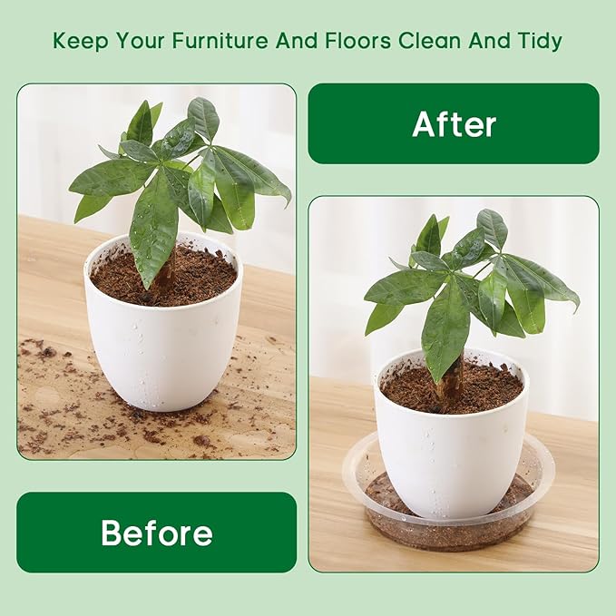 JERIA 6 Inch 20 Pack Clear Plant Saucers,Plastic Flower Pot Trays,Round Durable Plant Drip Trays for Indoor and Outdoor