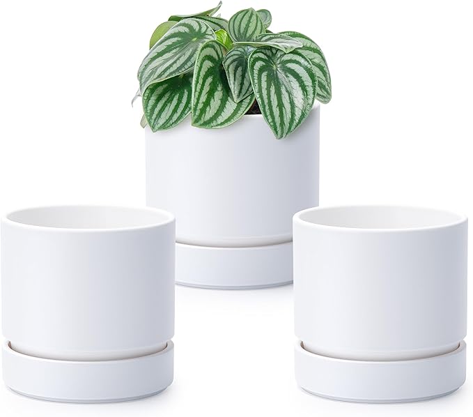 4 Inch Modern Plastic Round Pots for Indoor Houseplants and Herbs, Pack of 3 Planter Pot with Drainage Hole & Saucer, Deep Water Catch Tray, Straight Cylindrical Pot for Plants, Matte White, 23-D-R-1