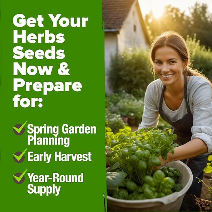 HOME GROWN 6 Herb Seeds for Planting 3,200+ Non-GMO Heirloom Seeds | Extra Large Variety Pack Herb Kit – Indoor Outdoor & Hydroponic | Culinary Seed Set | Grow Your Own Herbs | Gift for Beginners