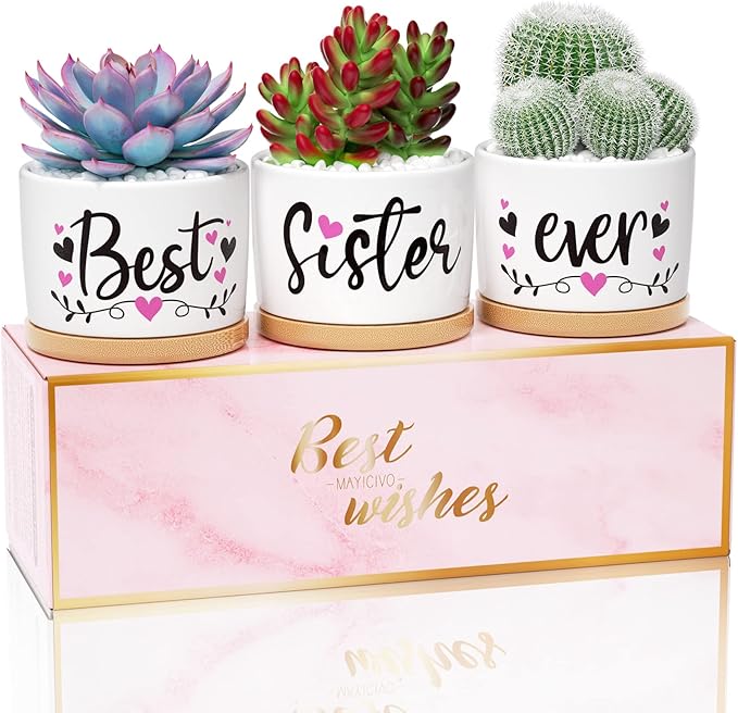 Christmas Sisters Gifts from Sister, Best Gifts for Sister from Brother, Best Sister Ever Ceramic Succulent Pots for Plants Indoor, Gift Boxed Thanksgiving Birthday Gifts for Sister in Law Soul Sister