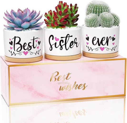 Christmas Sisters Gifts from Sister, Best Gifts for Sister from Brother, Best Sister Ever Ceramic Succulent Pots for Plants Indoor, Gift Boxed Thanksgiving Birthday Gifts for Sister in Law Soul Sister