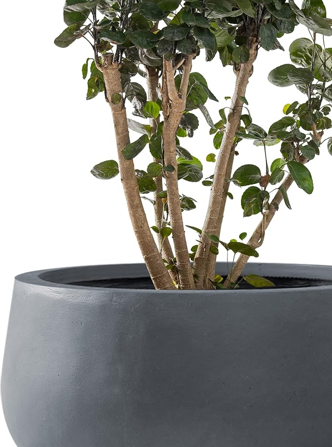 Kante 19.6",15.7",11.8" Dia Round Concrete Planters Set of 3, Outdoor Indoor Garden Plant Pots with Drainage Hole and Rubber Plug, Modern Curvaceous Design, Charcoal
