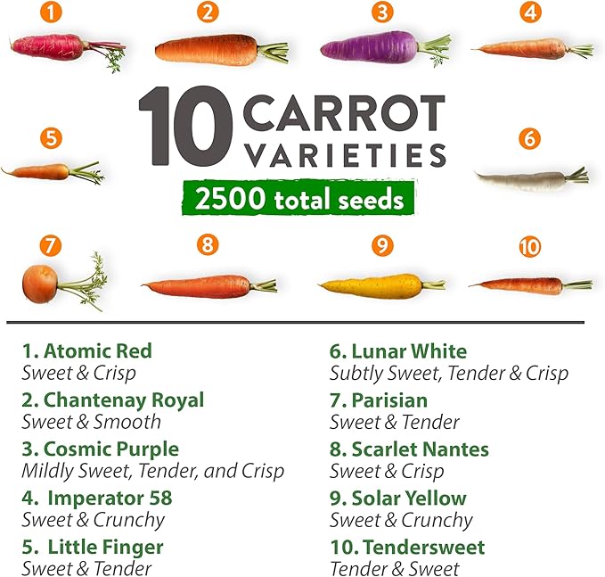 HOME GROWN Rainbow Carrot Seeds – 2500+ Heirloom Seeds (10 Varieties) – High Germination, Vegetable Seeds for Planting Indoors or Outdoor Home Garden