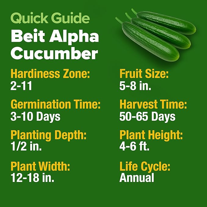 HOME GROWN Persian Cucumber Seeds – 50+ Heirloom Non-GMO, High-Yielding Beit Alpha Variety | Fast Growing, Sweet Tender Skin, Home Vegetable Garden Seeds (Cucumis sativus)