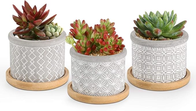 T4U 2.5 Inch Cement Succulent Planter Pot with Bamboo Tray Set of 3, Small Grey Concrete Pot Cactus Plant Container Herb Window Box Decoration for Home Office Gardening Birthday
