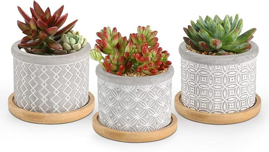 T4U 2.5 Inch Cement Succulent Planter Pot with Bamboo Tray Set of 3, Small Grey Concrete Pot Cactus Plant Container Herb Window Box Decoration for Home Office Gardening Birthday