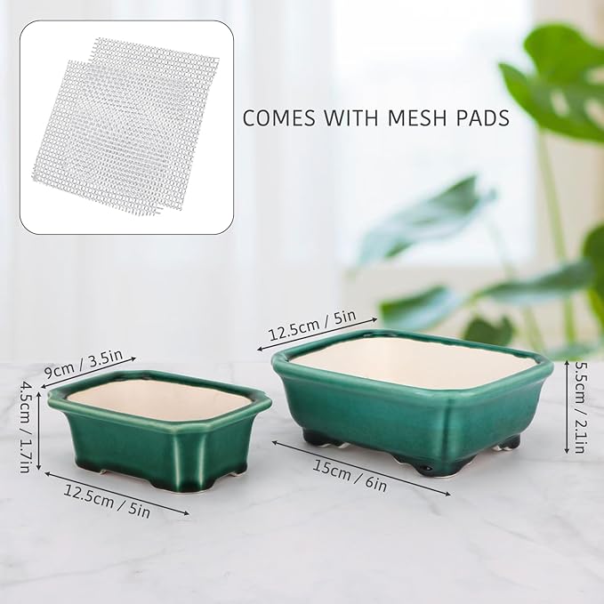 Set of 2 Zisha White Clay Bonsai Pot Glazed Shallow Succulent Planter Green