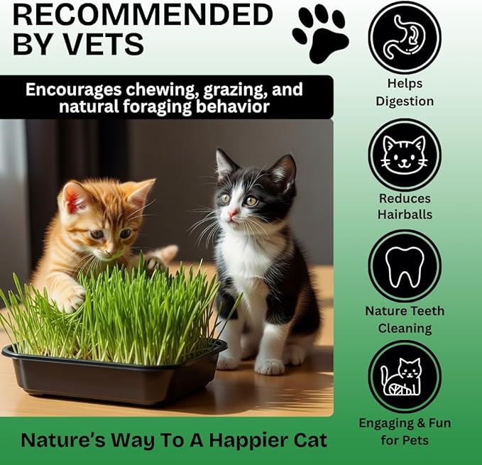 Cat Grass Seeds for Growing | 4 Way Blend, Rye, Wheat, Oats and Barley | (1/2 Pounds)