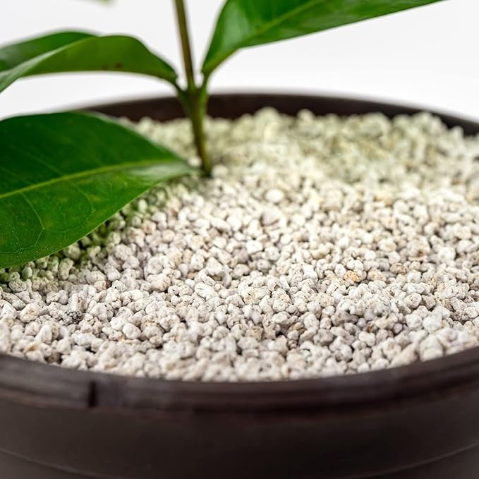 GARDENERA Premium Organic Perlite - Medium Grade - Horticultural Soil Amendment for Indoor & Outdoor Container Plants for Drainage Management and Enhanced Growth - 5 Quart