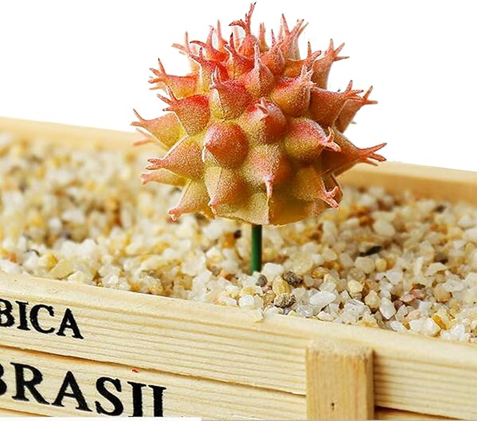 N|A Cayway 10 PCS Artificial Cactus and Succulent Plants - Faux Cacti Decor for Decoration - Bulk Pack