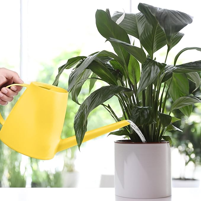 Plastic Watering Can - for Indoor and Outdoor House Plant Garden - with Long Spout - 1/2 Gallon - Yellow