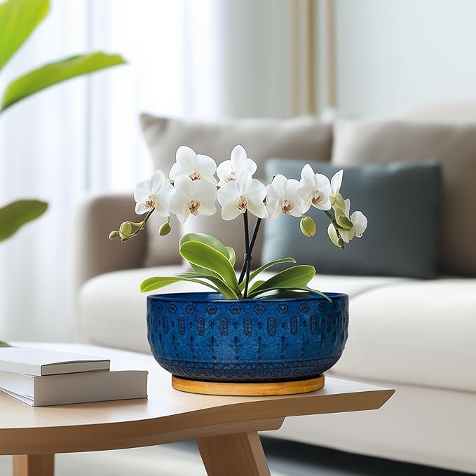 Bonsai Pots - 8 Inch Ceramic Succulent Pots with Drainage Hole and Saucer, Planters for Indoor Plants, Modern Round Decorative Flower Planter, Home Decor, Housewarming Gifts, Blue