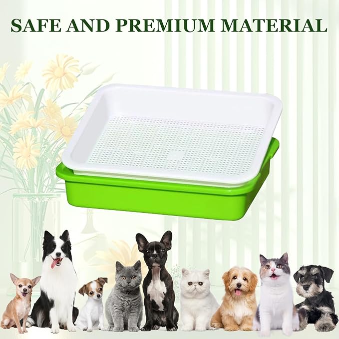10 Pack Seed Sprouter Tray, Sprouter Microgreens Growing Kit BPA Free Nursery Tray Big Capacity Sprouts Growing Kit for Indoors or Outdoors Sprouting Seeds, Cat Grass, Beans, Wheatgrass