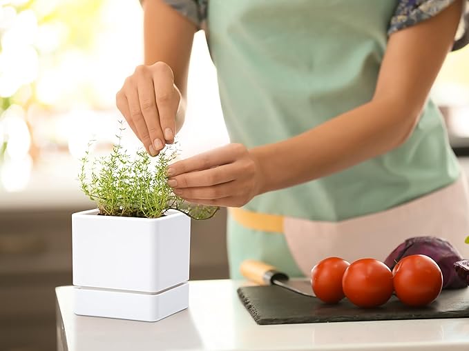 D'vine Dev 4 Inch Herb Planter Pot, Plastic Planter with Drainage Holes and Saucer, Modern Decorative Gardening Pot for Indoor Plants, Flowers, Herbs, Succulents, White, Set of 2, 76-Y-A2-1