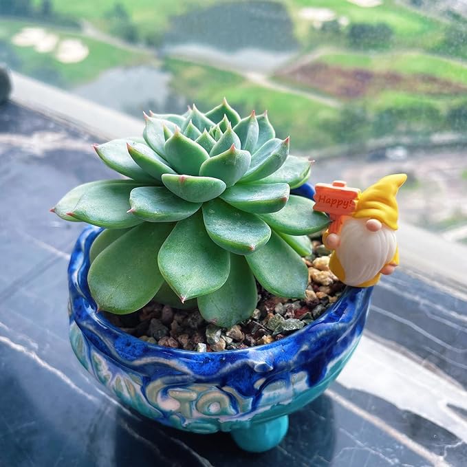 16pcs Mini Gnomes Set Fairy Garden Accessories Fairy Garden Statues for Outdoor, Indoor, Office Desk,Party Favors, Plant Pots and Gift Giving