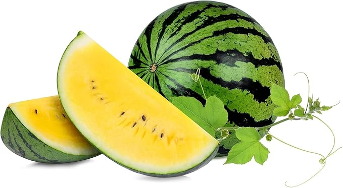 Seeds Yellow Watermelon 11 lbs - Fruits for Planting - GMO Free
